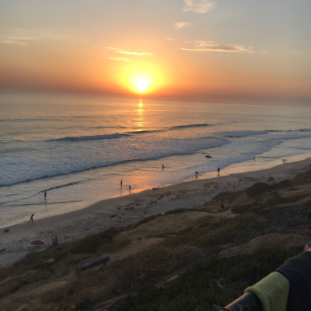 Meet your Posher, Gina